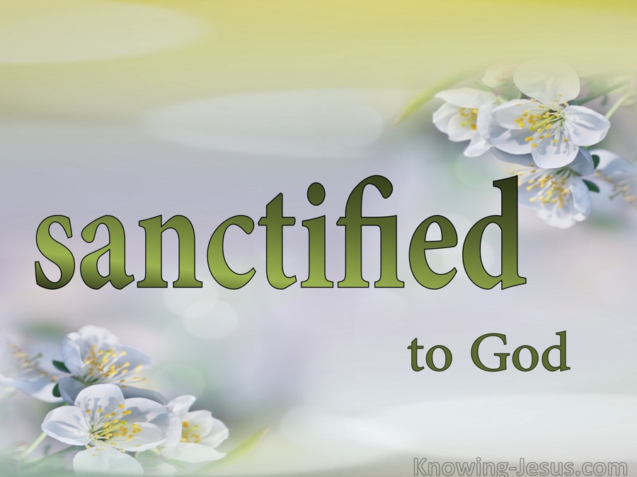 Romans 8:30 What About Sanctification (devotional)09:17 (white) 